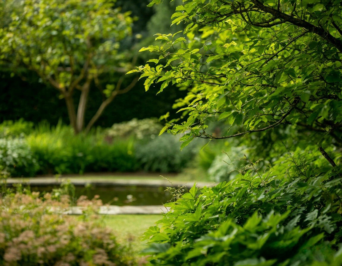 Красивый сад